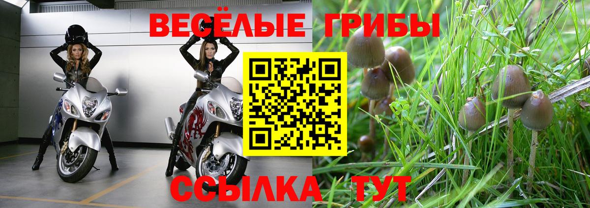 наркотики  Вход с VPN  Барабинск  Галлюциногенные грибы Psilocybe 